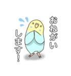 かわいい インコのイラストスタンプ Lineスタンプ インコインコ