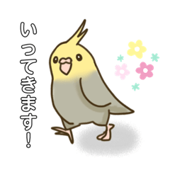 かわいい インコのイラストスタンプ Lineスタンプ インコインコ