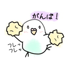 かわいい インコのイラストスタンプ Lineスタンプ インコインコ